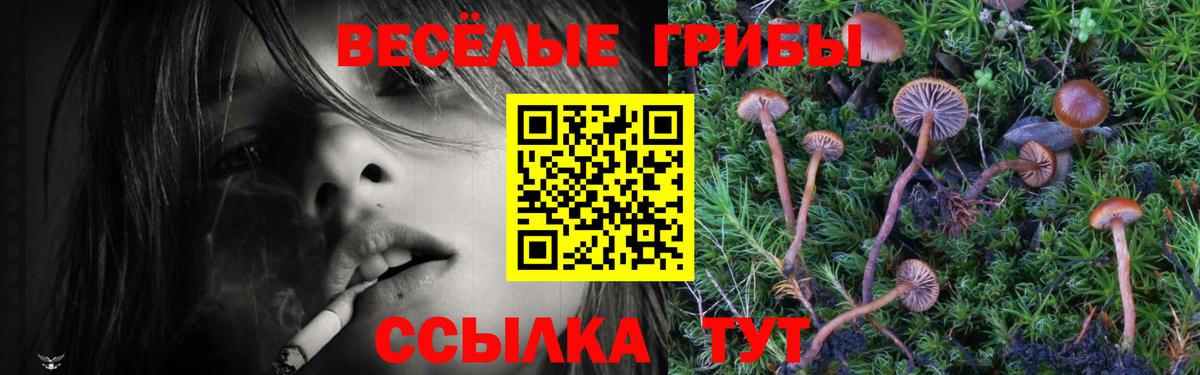 Галлюциногенные грибы мицелий Елец